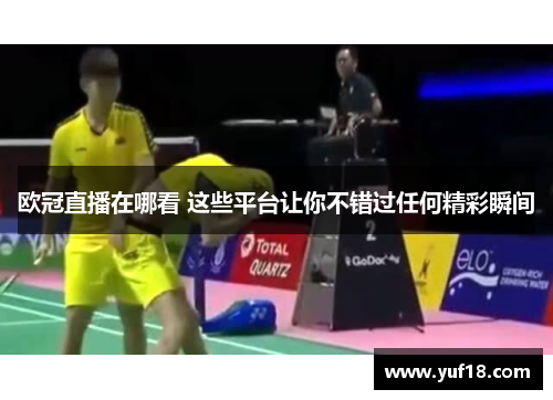 欧冠直播在哪看 这些平台让你不错过任何精彩瞬间